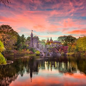 under the stars proposal package