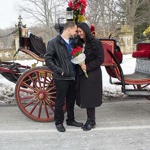 Horse-Drawn Carriage Proposal